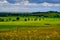 Summer view of rolling English countryside.