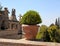 Summer view with terrace and ornate flower pot with boxwood, Italy.