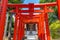 Summer view of vermillion torii gates at Miumajinja shinto shrine in Nonoichi, Kanazawa, Japan