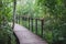 Summer view of wooden walkway on the territory of Sestroretsk swamp, ecological trail path - route walkways laid in the swamp,