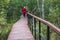 Summer view of wooden walkway on the territory of Sestroretsk swamp, ecological trail path - route walkways laid in the swamp,