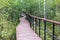 Summer view of wooden walkway on the territory of Sestroretsk swamp, ecological trail path - route walkways laid in the swamp,