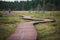 Summer view of wooden walkway on the territory of Sestroretsk swamp, ecological trail path - route walkways laid in the swamp,