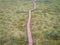 Summer view of wooden walkway on the territory of Sestroretsk swamp, ecological trail path - route walkways laid in the swamp,