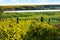 Summer village green landscape with hills, lake and vineyards