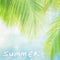 Summer vintage background