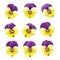 Summer violet yellow pansy flowers objects isolated on white