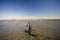 Summer at the Wadden Sea