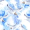 Summer watercolor seamless pattern with sea gull