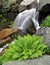 Summer waterfall with fern