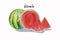 Summer watermelon sliced isolated.