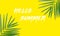 Summer web banner. Summer background with lettering hello summer on yellow background