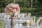 Summer wedding table setting outdoor