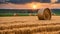 summer wheat field after a harvest at the sunset,