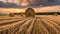 summer wheat fieldwith haystack after a harvest