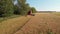 Summer wheat harvesting. Working rye harvester combine machines on gold wheat fields. Rye corn harvesters on gold wheat