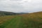 Summer wild flower meadows on Conistone pastures