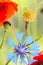 Summer wildflower poppy and cornflower abstract
