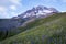 Summer wildflowers on Mt. hood, Oregon