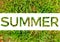 Summer word cut white background on sunshine green grass.