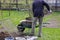 Summer worker in working clothes picking up dirt with a shovel and throwing on sieve for separation from stones and some roots.