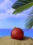 Summer xmas holidays concept. Christmas ball on sandy beach with palm tree, blue sea and sky background