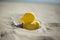 Summer yellow duck beach toy affix in the dry sand. Selective focus.