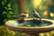 Summertime birdbath with two little birds