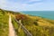 Summertime coastal path along cliffs