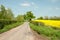 Summertime country lane and agricultural landscape in the British countryside.