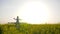 Summertime, family raising hands up playing in backlight, son sits on shoulders father on meadow in sunny day