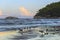 Summertime.Gargano coast:Portonuovo beach (Vieste):seagulls on the shore at sunset.Apulia,Italy.