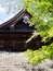 Summertime on the grounds of Miidera, temple number 14 of the Saigoku Kannon pilgrimage