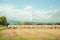 Summertime landscape, fields, straw bales and cumulus clouds in the British countryside.