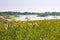 Summertime landscape - view of river valley of the Odra ÃÅ¾der between meadows and forests