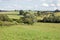 Summertime meadow with some sheep grazing in the British countryside.