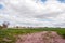 Summertime muddy fields and agriculture in the British countryside