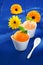 Summertime orange and mango icecream