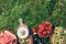 Summertime picnic with healthy food - fruits, wine, watermelon, cheese, grapes, strawberries on green grass. Top view