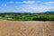 Summertime rural landscape