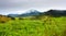 Summertime rural landscape with view at covered with white clouds mount Velky Choc Great Choc in the Slovakia