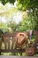 Summertime: Ukulele with yellow sunglasses on a wooden park bench