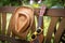 Summertime: Ukulele with yellow sunglasses on a wooden park bench