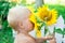 Summertime. A white-haired boy is sniffing a sunflower