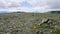 Summit area on Pillar, Lake District