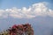 Summit of Dhaulagiri, Annapurna Circuit, Kaski District, Nepal