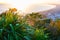 From the summit of Mount Maunganui at daybreak golden glow of rising sun, distant horizon and long leading coastline of Bay of