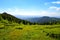 Summit of mountain Grosser Arber, Germany.