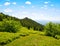 Summit of mountain Grosser Arber, Germany.