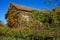 Summit, New Jersey, USA: An abandoned barn overgrown with ivy